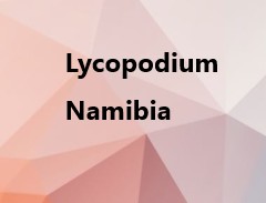 ADP Namibia
